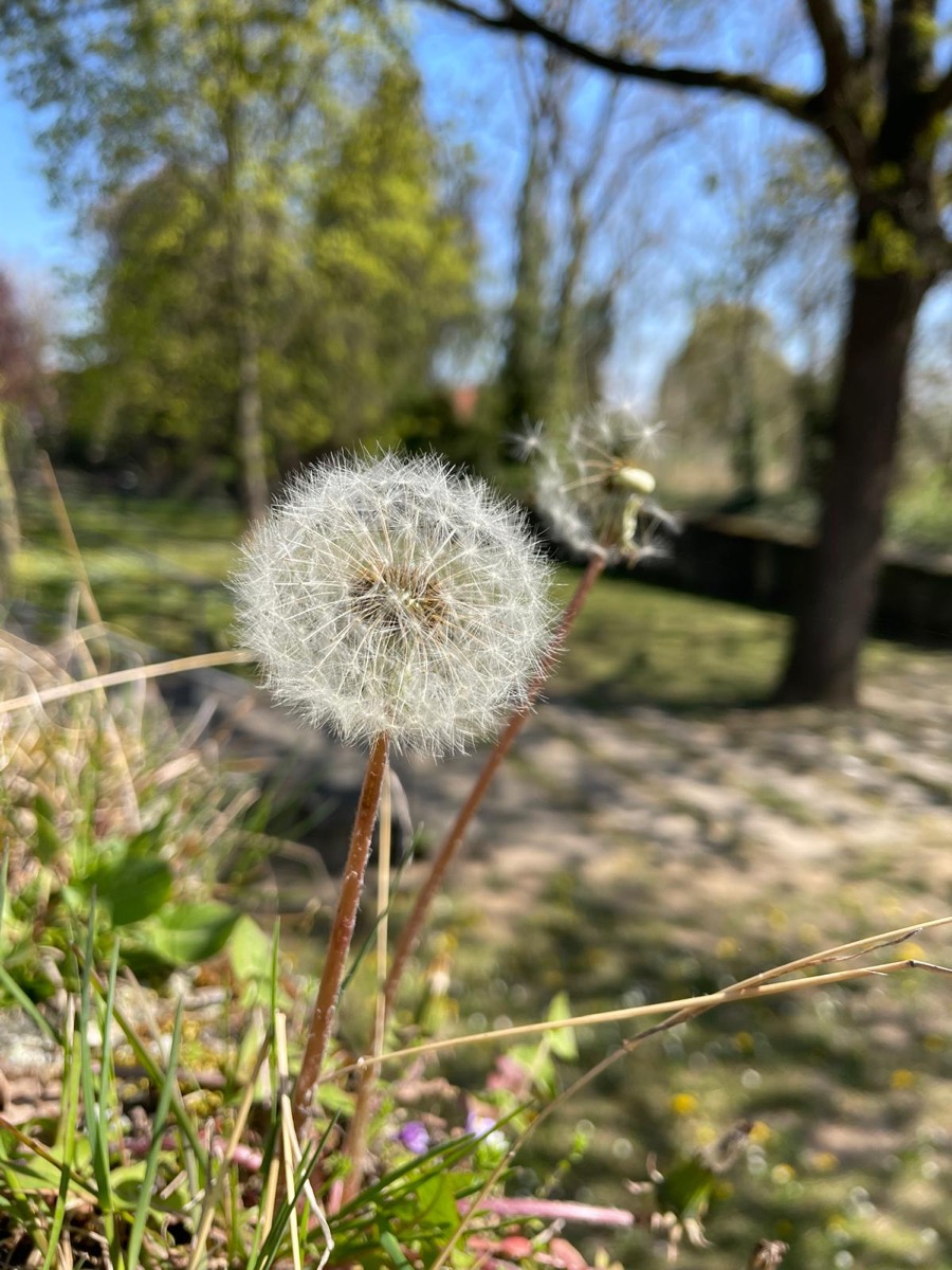Kursraum Schloss Dornberg, weitere Ansicht